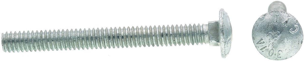 Hot-Dipped Galvanized Zinc Carriage Bolts 50-Pack