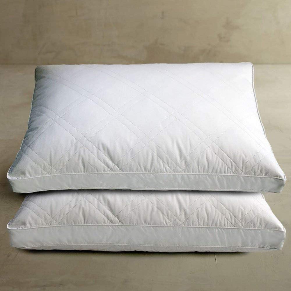 The Twillery Co.® Pulliam Medium Pillow (Set of 2)