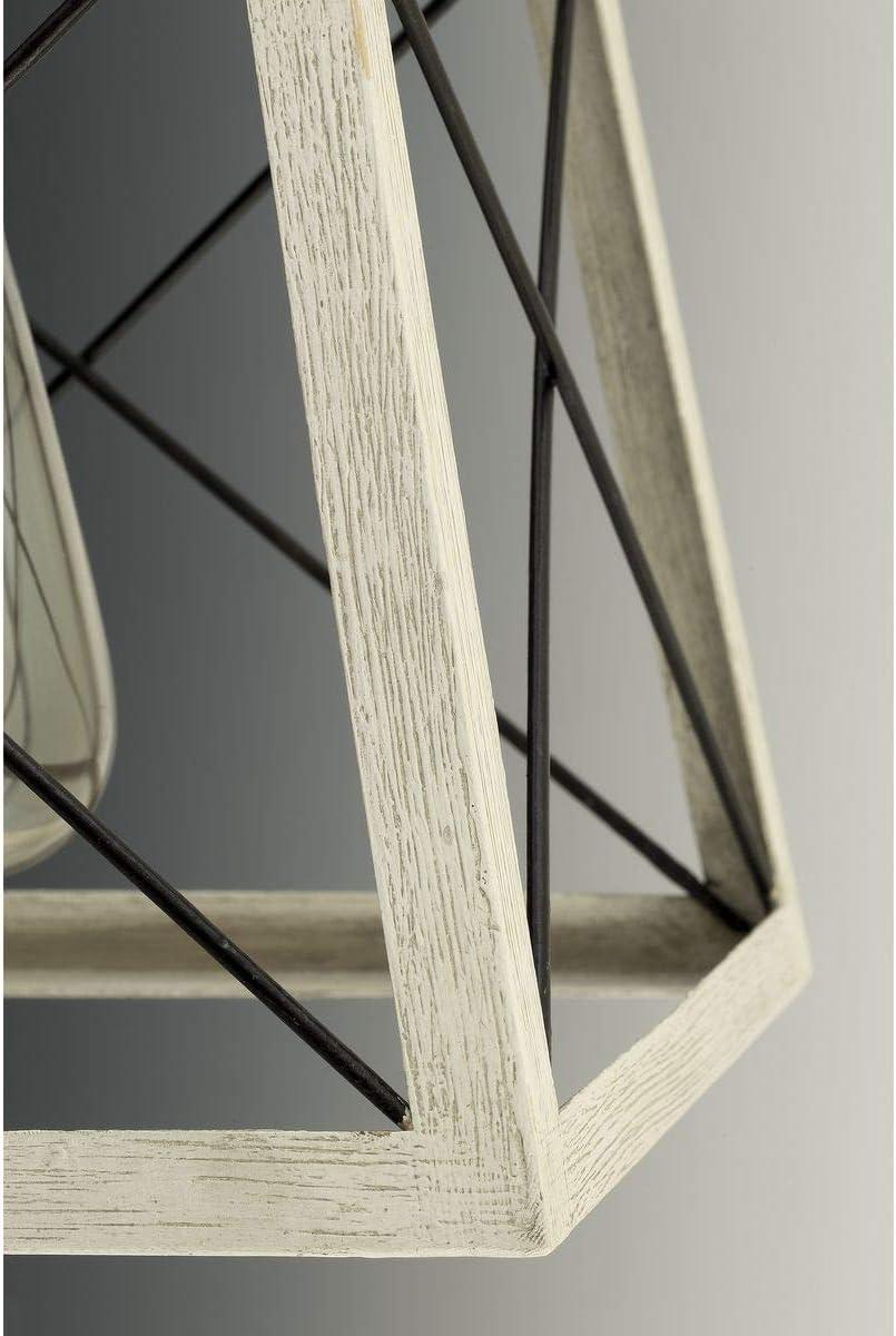 Progress Lighting Briarwood 1-Light Mini-Pendant, Steel, Graphite Finish, Faux-Painted Wood Enclosure