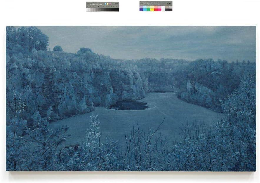 Landscape Painting Now - by Barry Schwabsky (Hardcover)