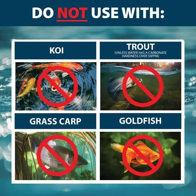 Airmax Algae Defense Pond Algae Control Treatment, For Clearer Pond Water, EPA Registered Algaecide Water Treatment, Safe for Use in Ponds Containing Fish and Plants, Treats 8000 sq ft, 1 Gallon