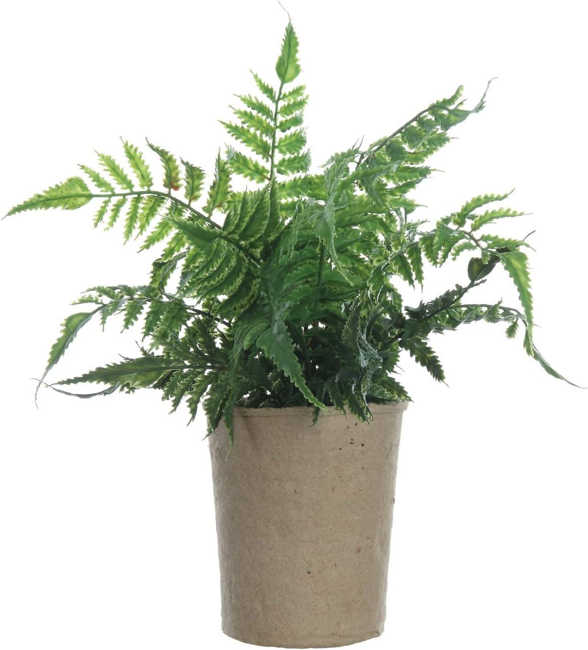 Creative Co-Op Faux Fern in Paper Pot