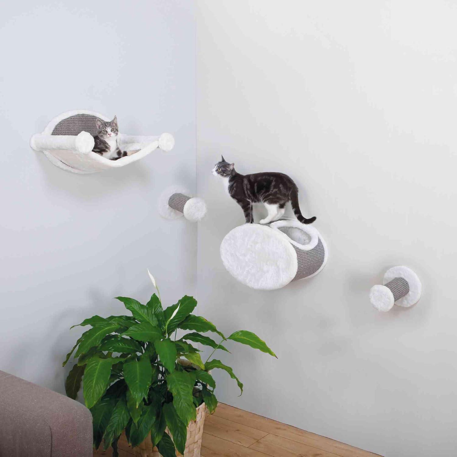TRIXIE Wall Mounted Cat Lounge Set, Hammock and Condo with Two Steps, Cat Furniture, Scratching Post & Reviews | Wayfair
