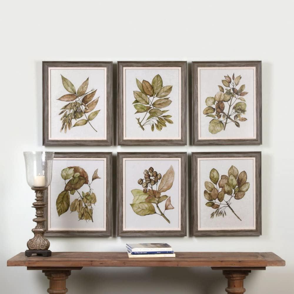 Set of 6 Gray Framed Botanical Prints with Glass