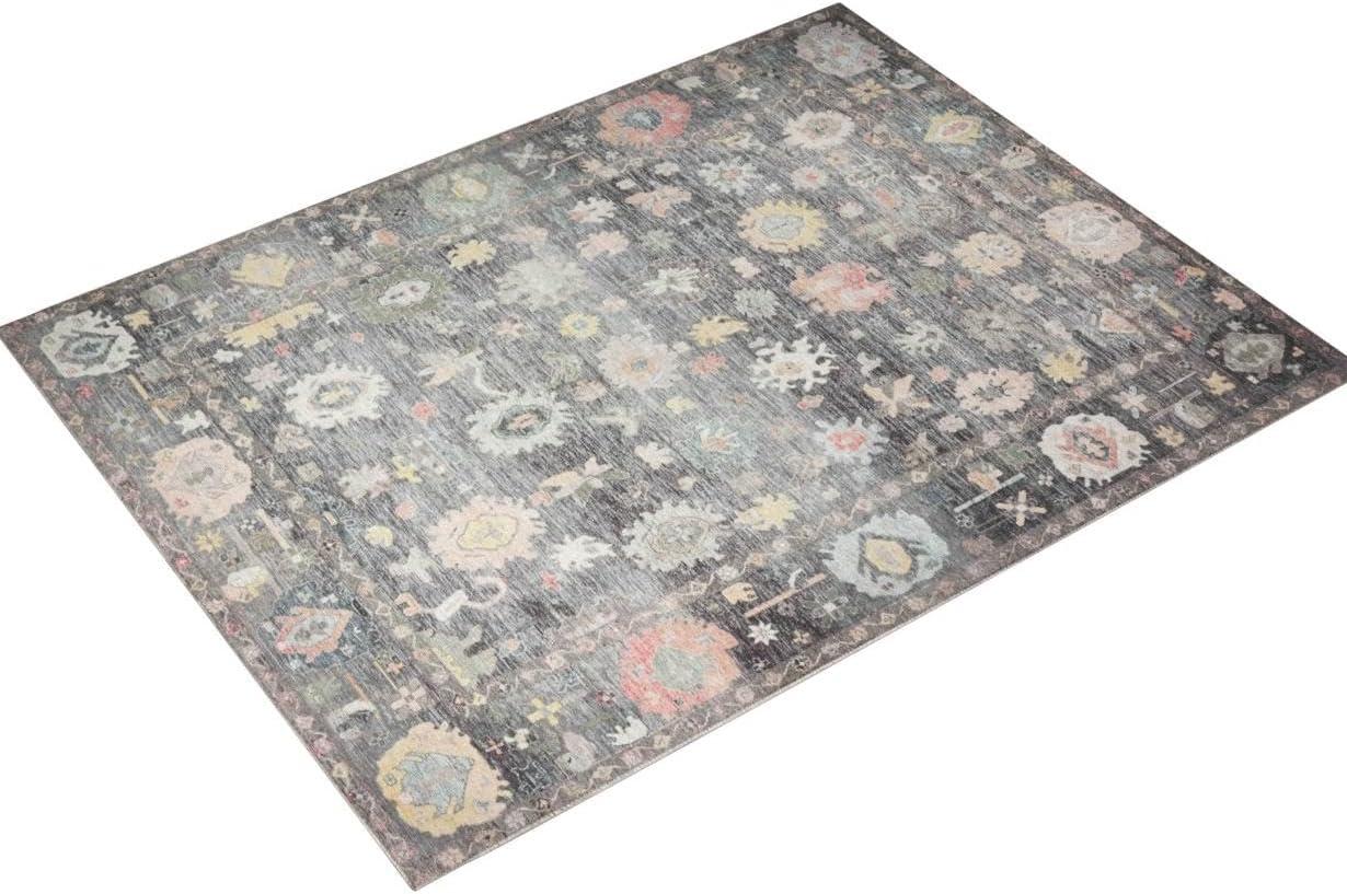 Loloi II Elysium Charcoal / Multi Area Rug