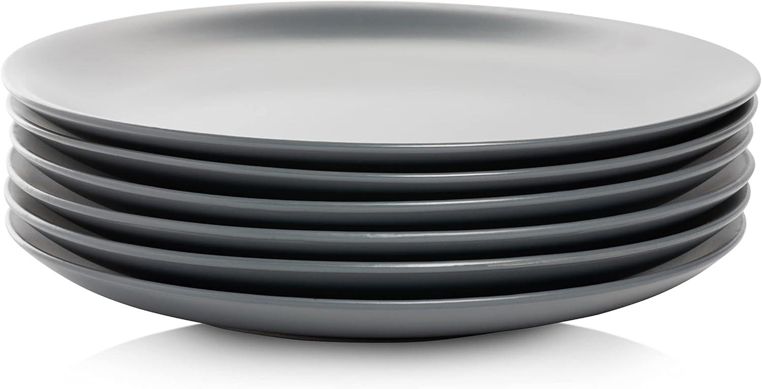 Wazee Matte 10.5" Dinner Plate (Set of 6)