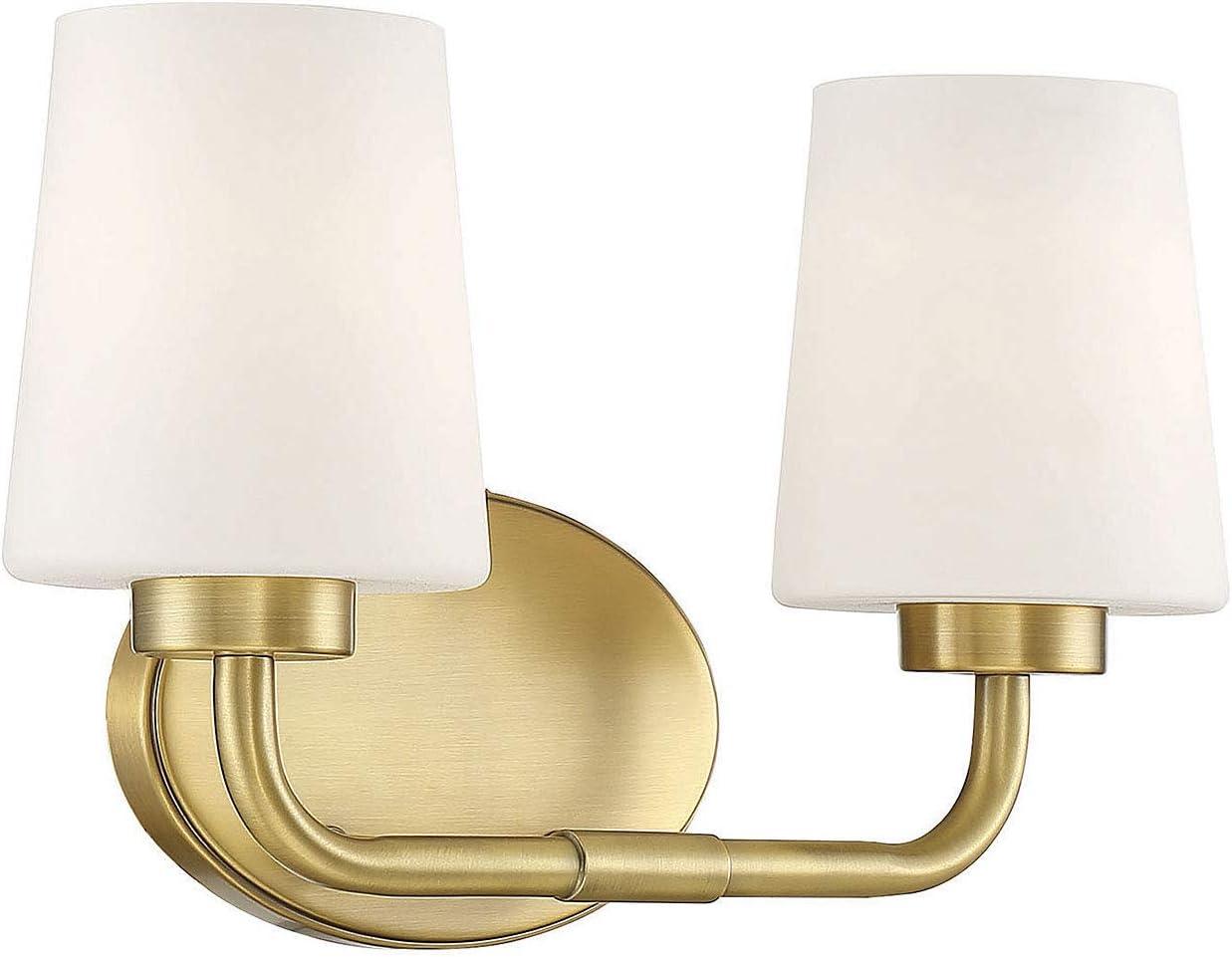 Fitz 2 Light Frosted Dimmable Vanity Light