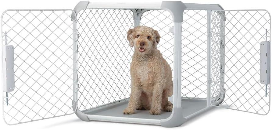 Evolv Modern 2-Door Dog Crate