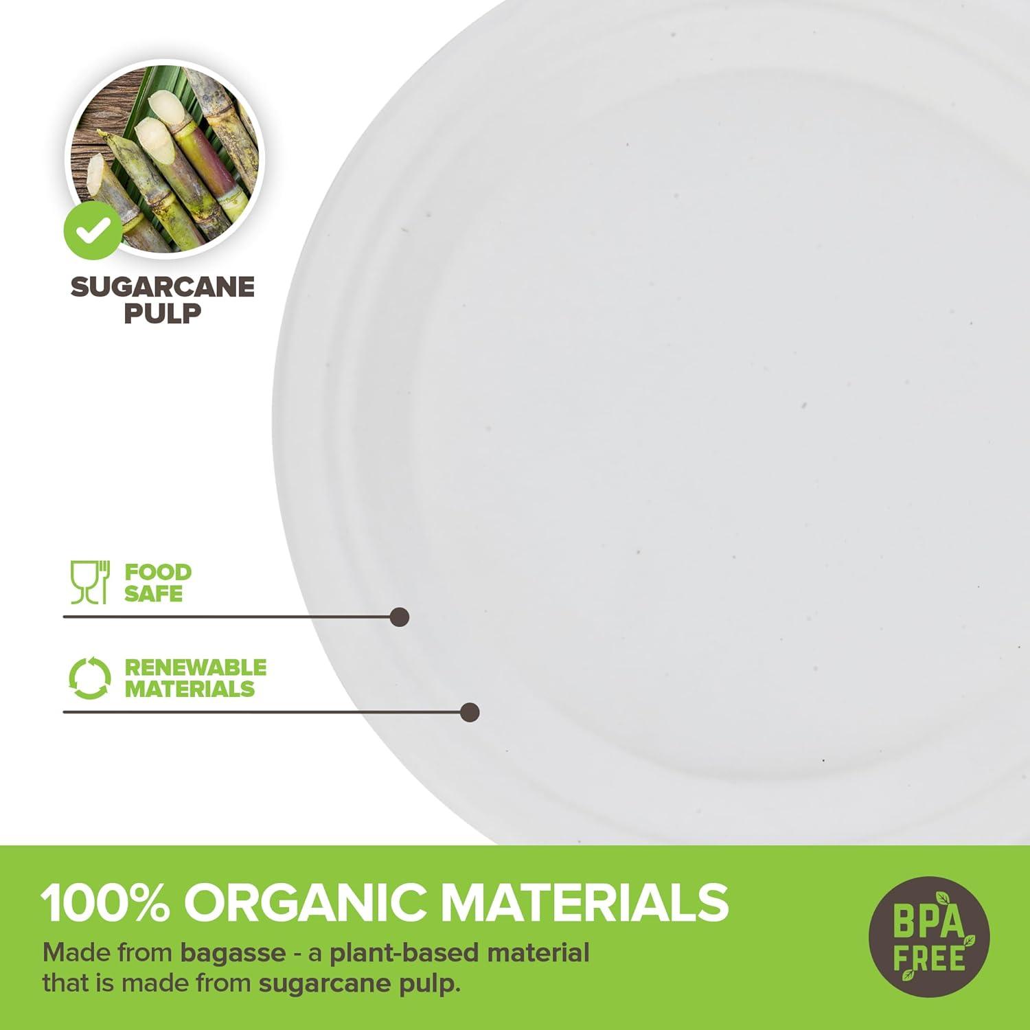 Eco-Friendly 9-Inch White Sugarcane Compostable Plates, 100 Count