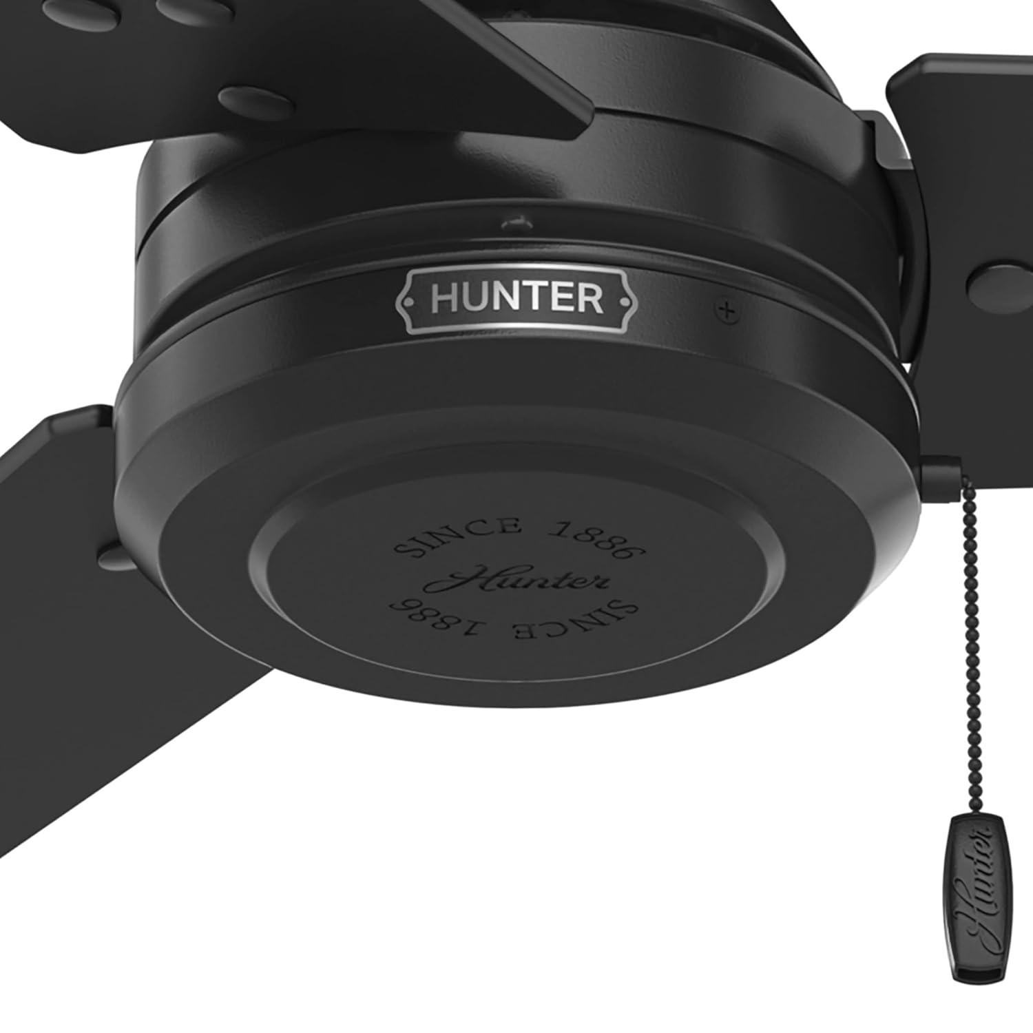 52" Cassius 3 - Blade Outdoor Standard Ceiling Fan with Pull Chain