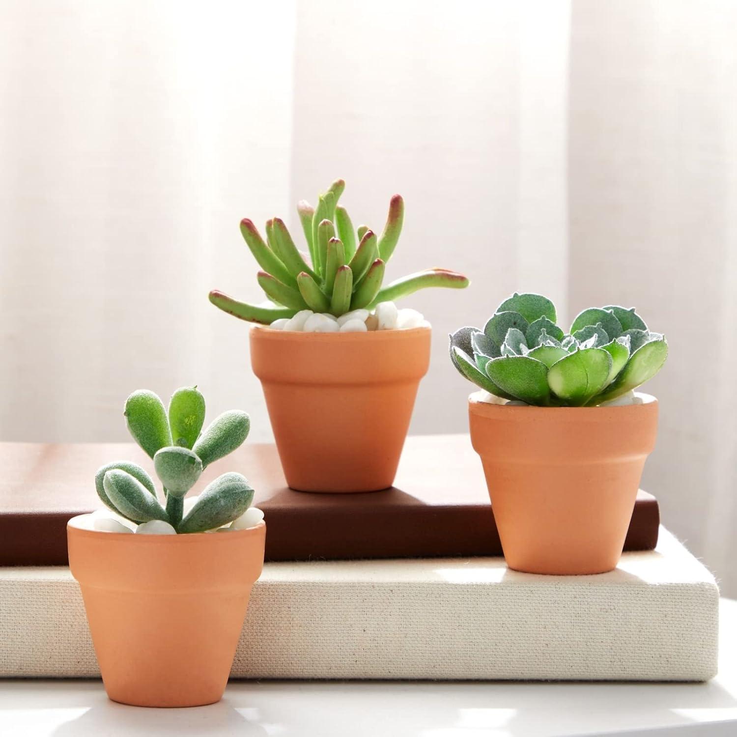 Charming Mini Terracotta Planters with Drainage for Succulents and Herbs, 10-Pack