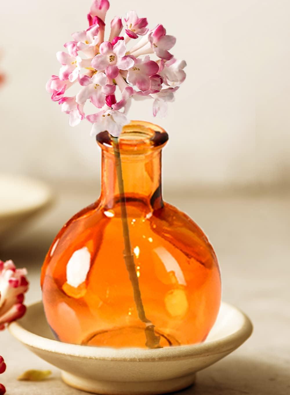 Koyal Wholesale Glass Bud Vases, Small Apothecary Bottles, Bulk Decorative Jars, Vintage Centerpieces, Amber, Set of 6