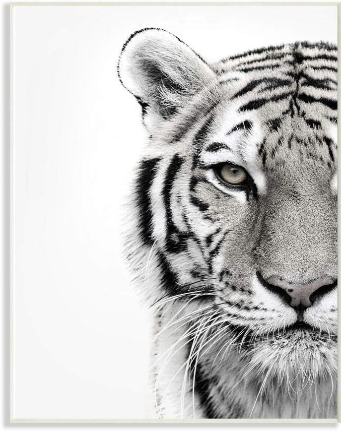 The Stupell Home Decor Collection White Tiger Close Up Black and White Photography Wood Wall Art
