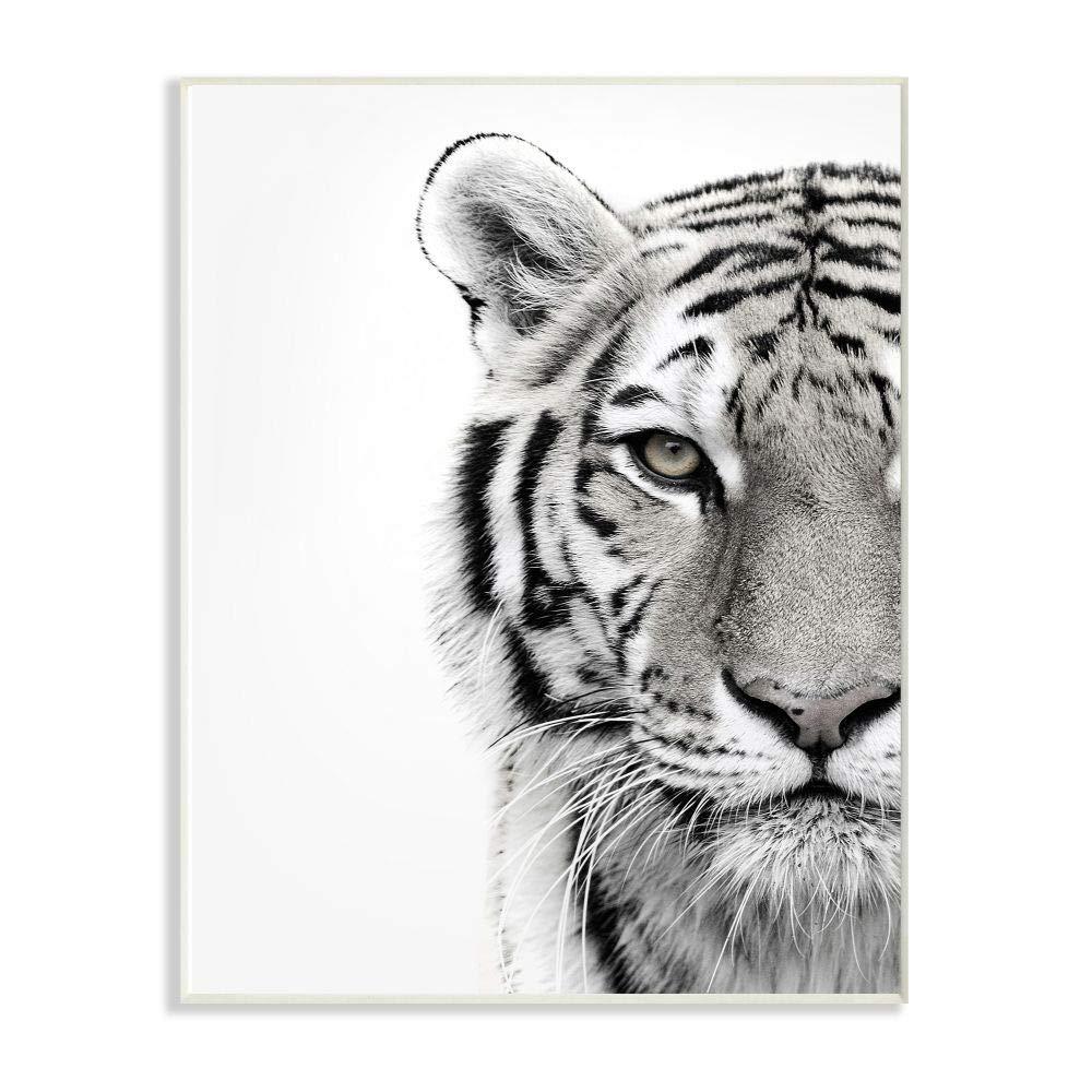 The Stupell Home Decor Collection White Tiger Close Up Black and White Photography Wood Wall Art