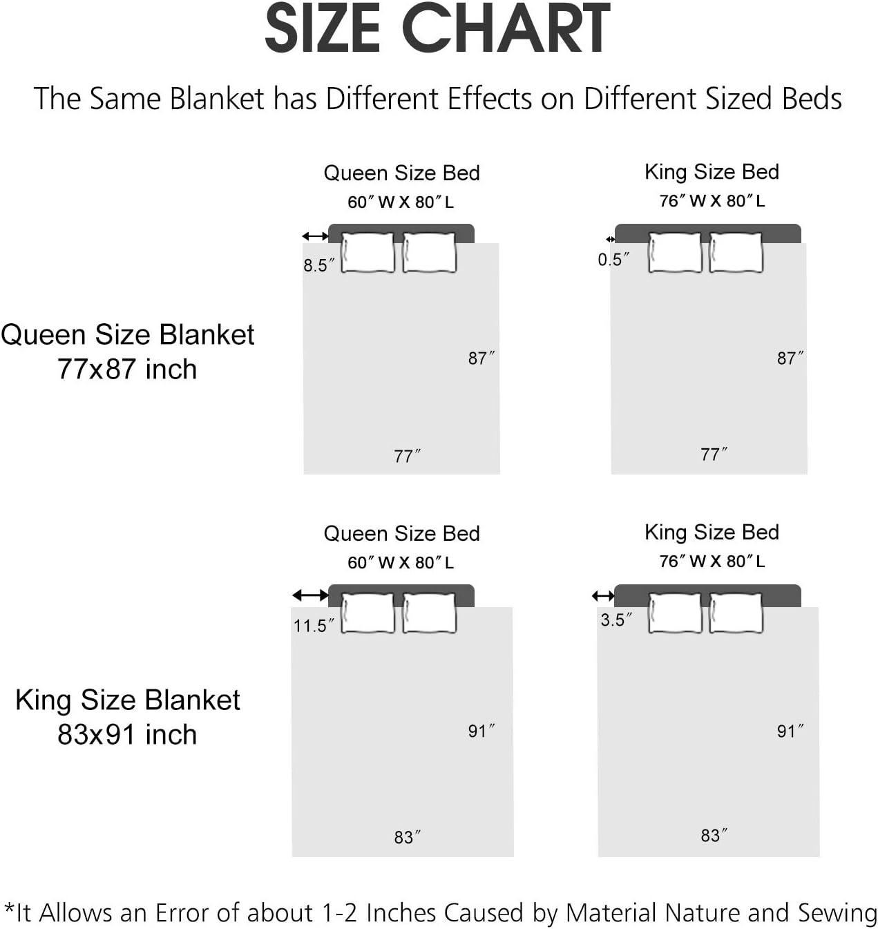 JYK Plush Fleece Blanket Queen Size 91" x 75", 3.7LBs 1 Ply Soft Korean Mink Warm Lightweight Blanket for Bed Couch for Spring Autumn Winter
