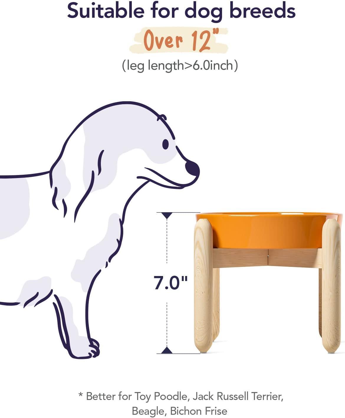 Sun Orange Ceramic Slow Feeder Dog Bowl with Wooden Stand