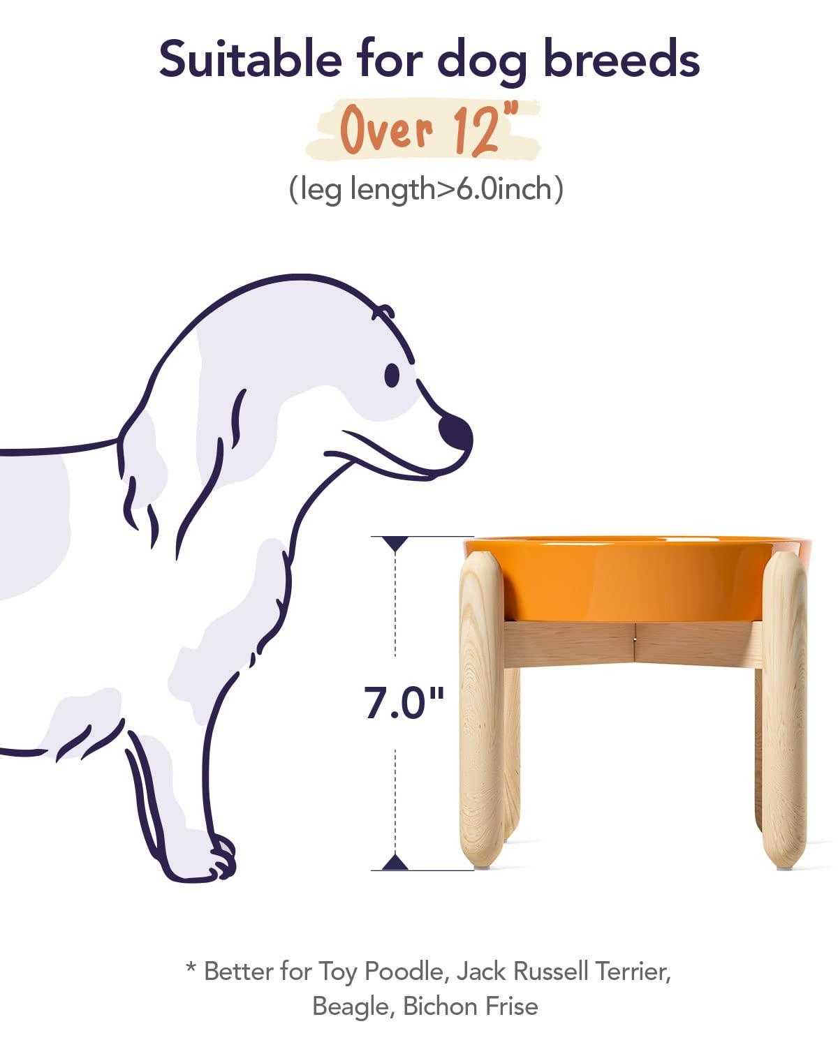 Ceramic Slow Feed Dog Bowls