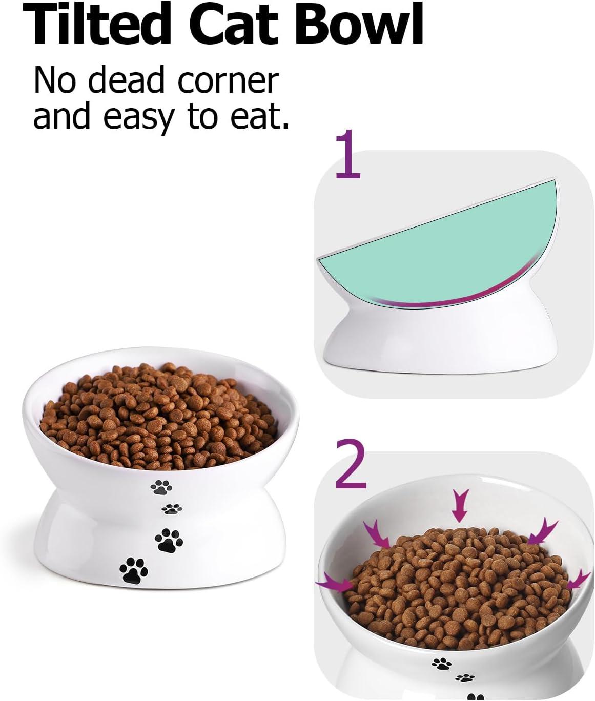 Cat Bowl Anti Vomiting,Raised Cat Food Bowls, Tilted Elevated Cat Bowl, Ceramic Pet Food Bowl for Flat Faced Cats, Small Dogs