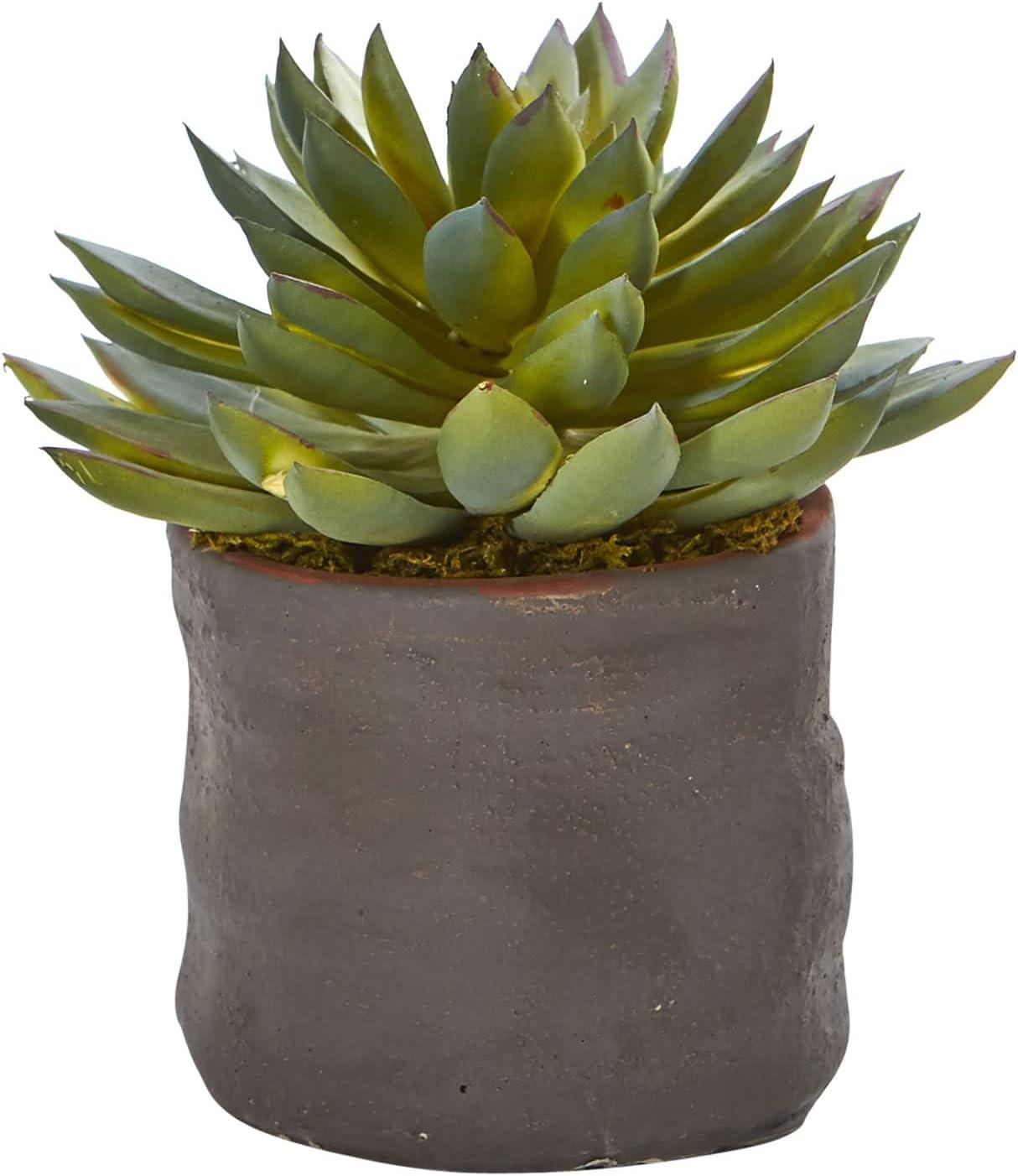 Set of Three Green Faux Succulent Plants in Ceramic Pots