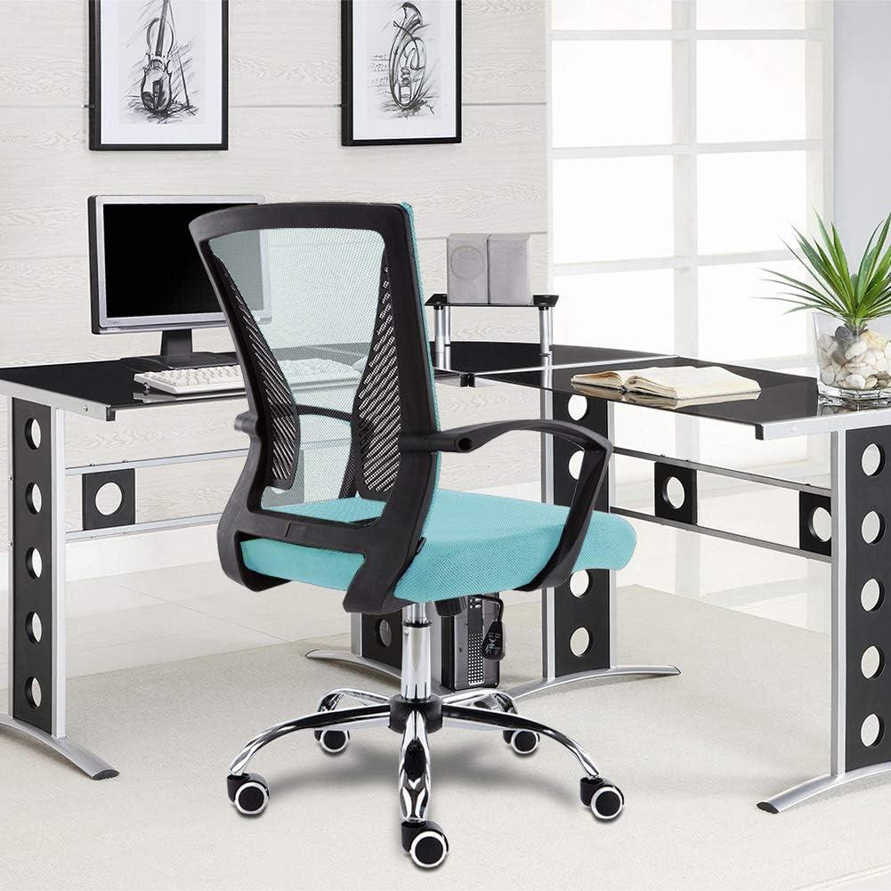 Drevy Zuna -Back Office Task Chair - Ergonomic Back Supporting Mesh Back Desk Chair (Black/Aqua)