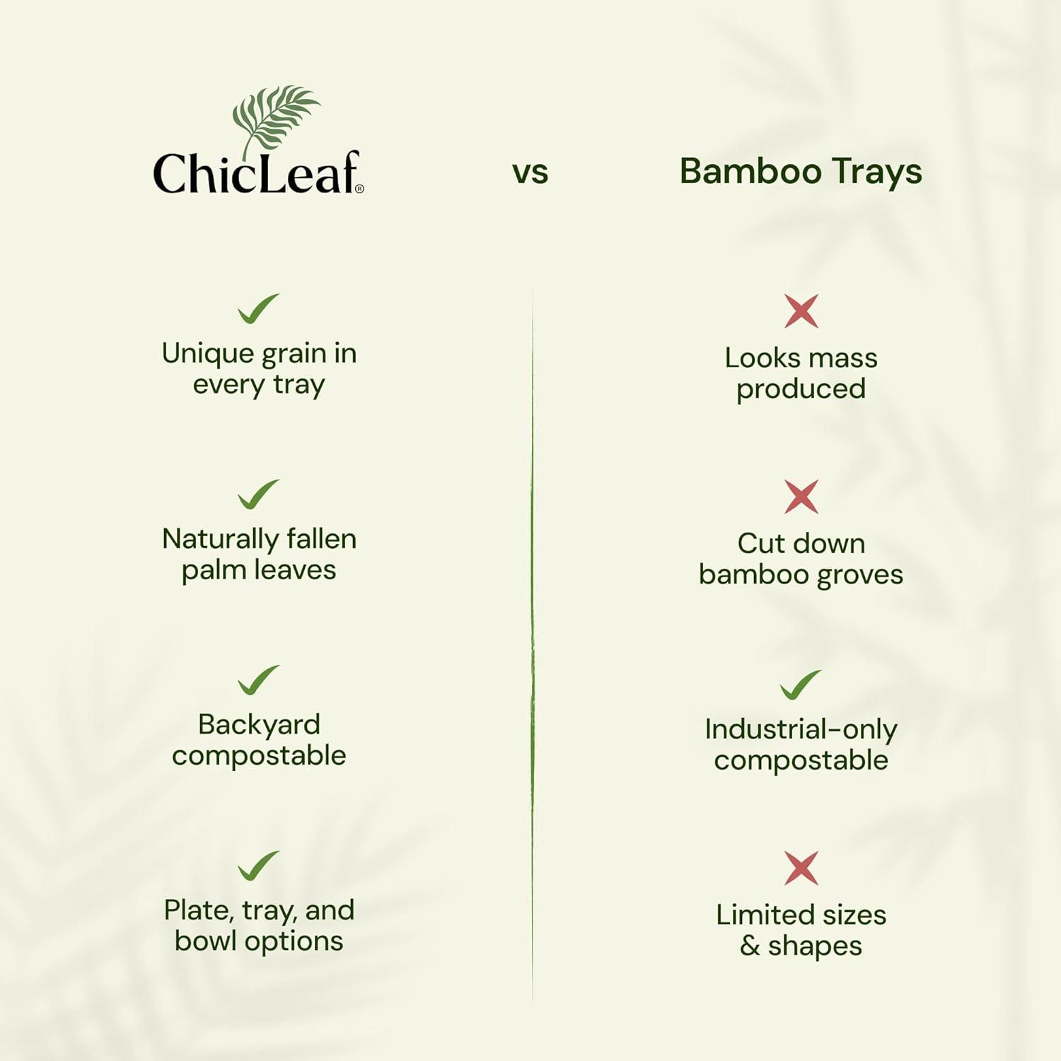 Chic Leaf Disposable Palm Leaf Trays, 17" x 12", 10 Pack, Compostable, Eco-Friendly Platters Charcuterie Board