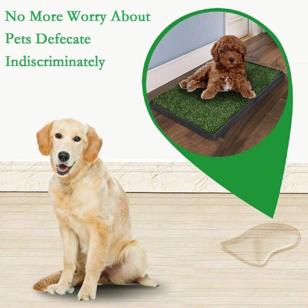 LOMANTOWN Fake Grass Dog Potty Pad Portable Dog Turf Trainer Grass with Tray, 30"x20"