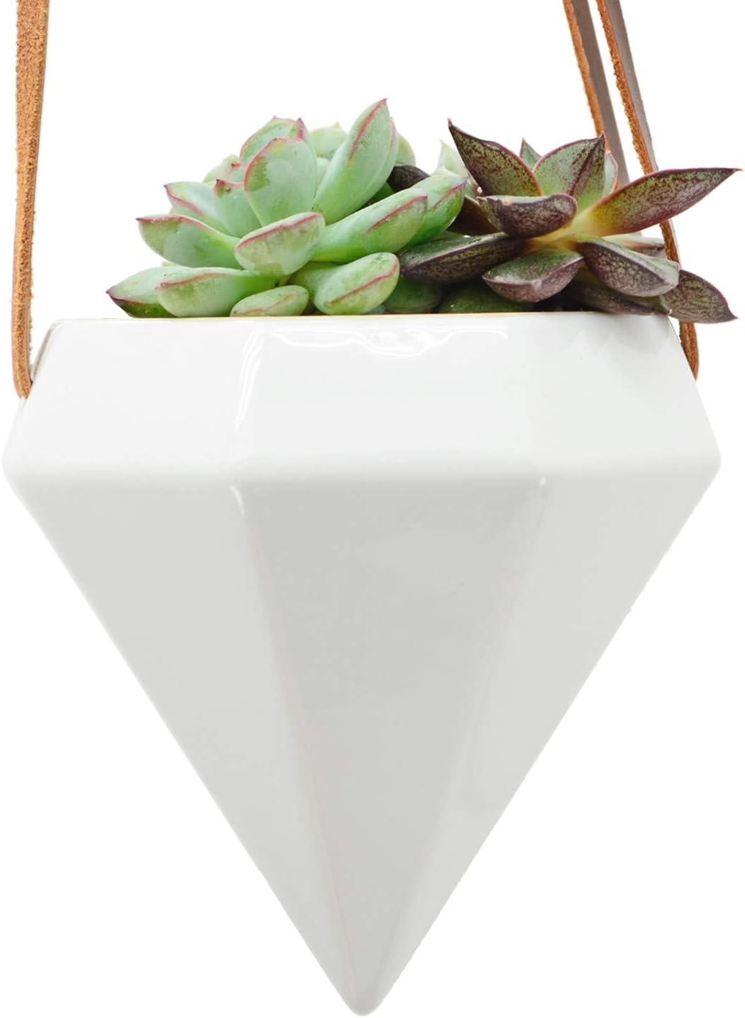 Guilford Ceramic Hanging Planter