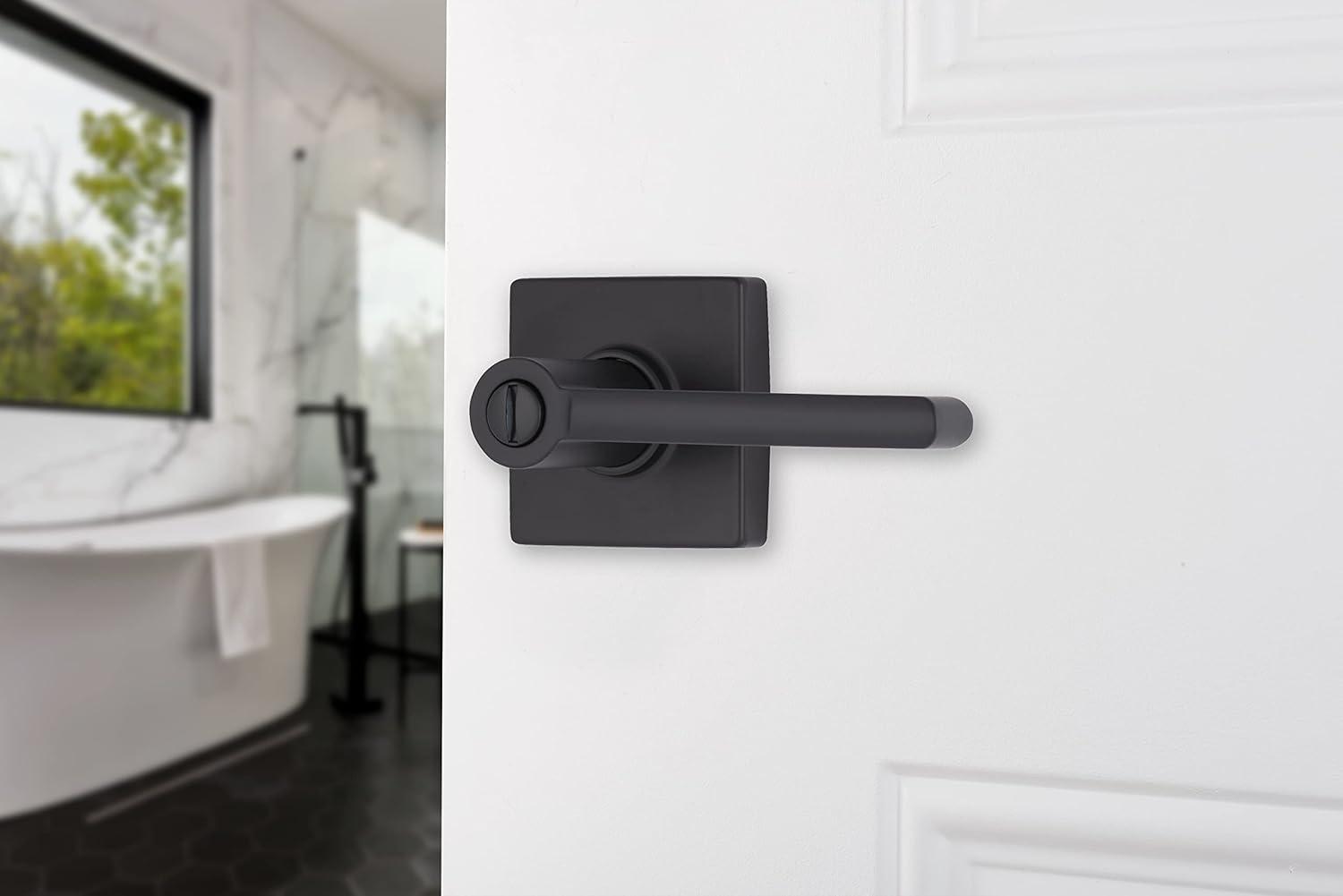 Brinks Mendocino Contemporary Privacy Lever