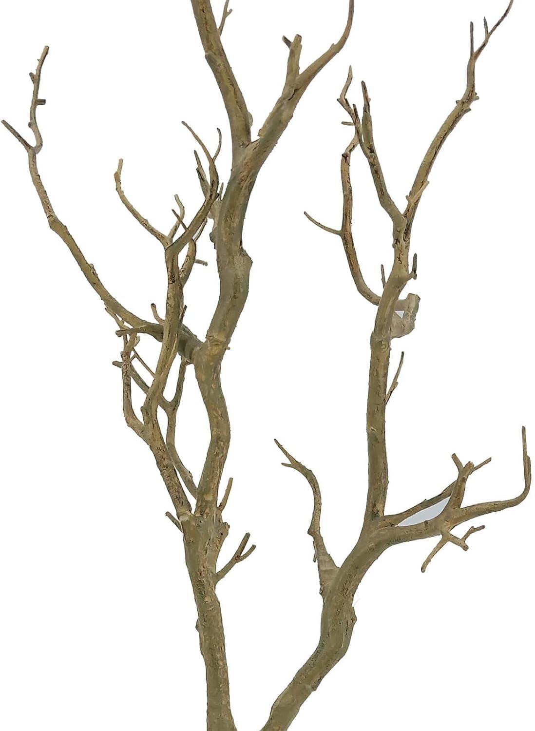 3ft. Bare Birch Branch by Ashland®