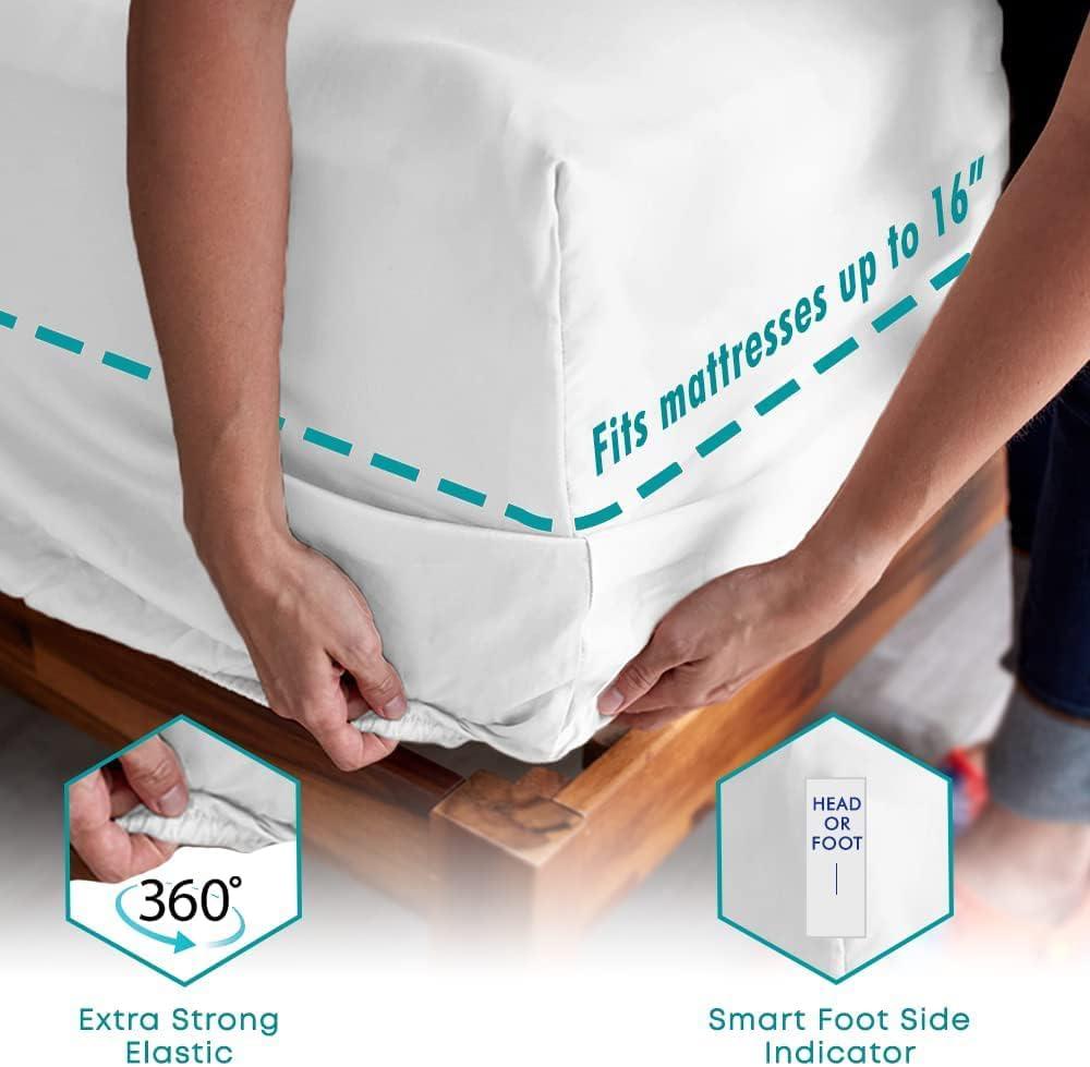Feather & Stitch Softest 100% Cotton Sheets, 300 Thread Count Percale Weave Bedding, 16" Deep Pocket, Cooling Sheets, Breathable Bed Set, Hotel Premium Quality (King, Blue Floral)
