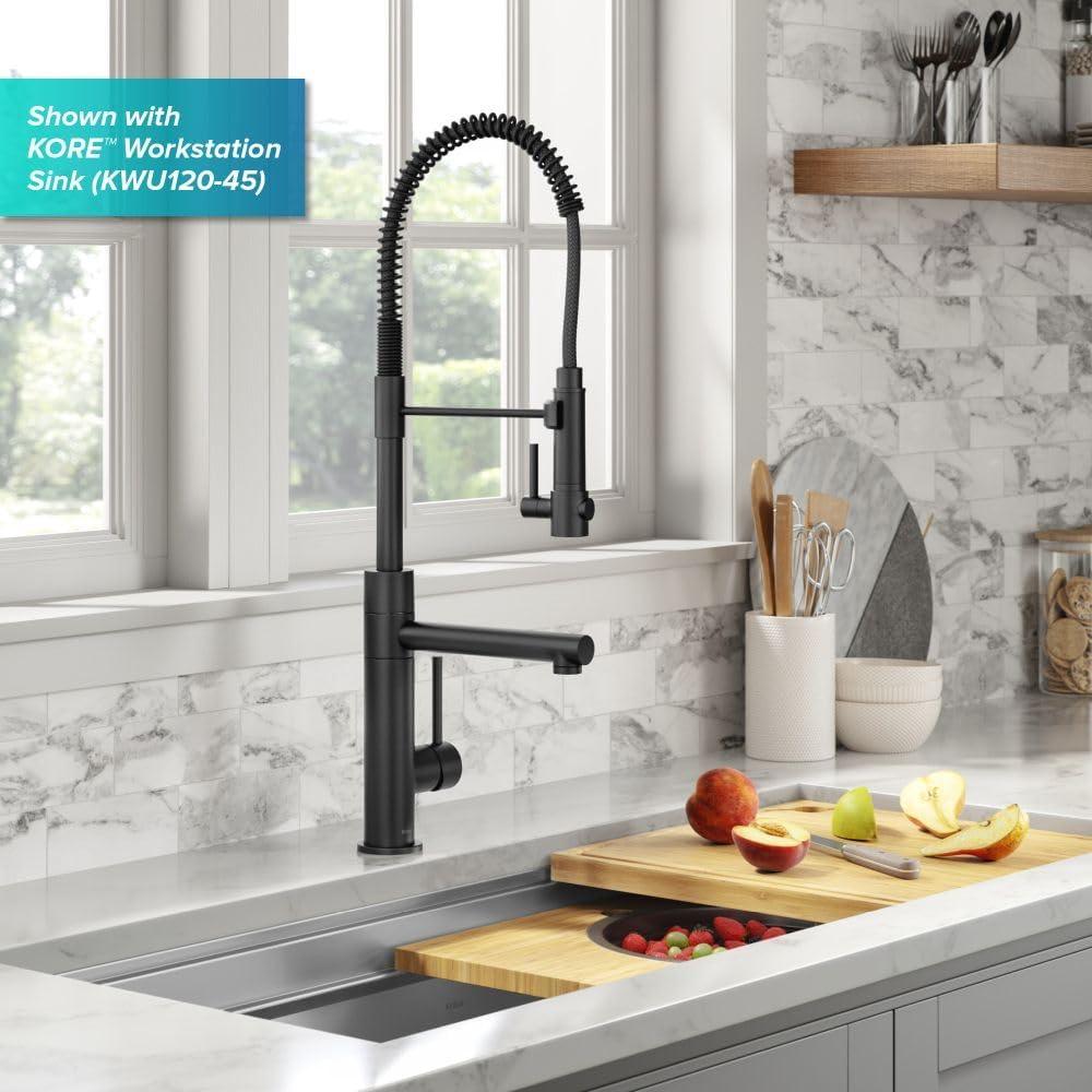 Matte Black Semi-Professional Kitchen Faucet with Pull-out Spray