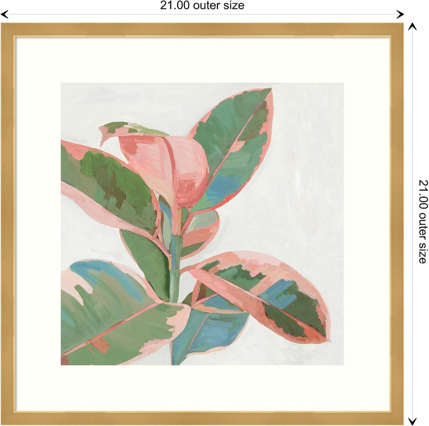 21" x 21" Ficus I by Asia Jensen Framed Wall Art Print Pink - Amanti Art: Modern Hardwood Frame, Botanical Lithograph