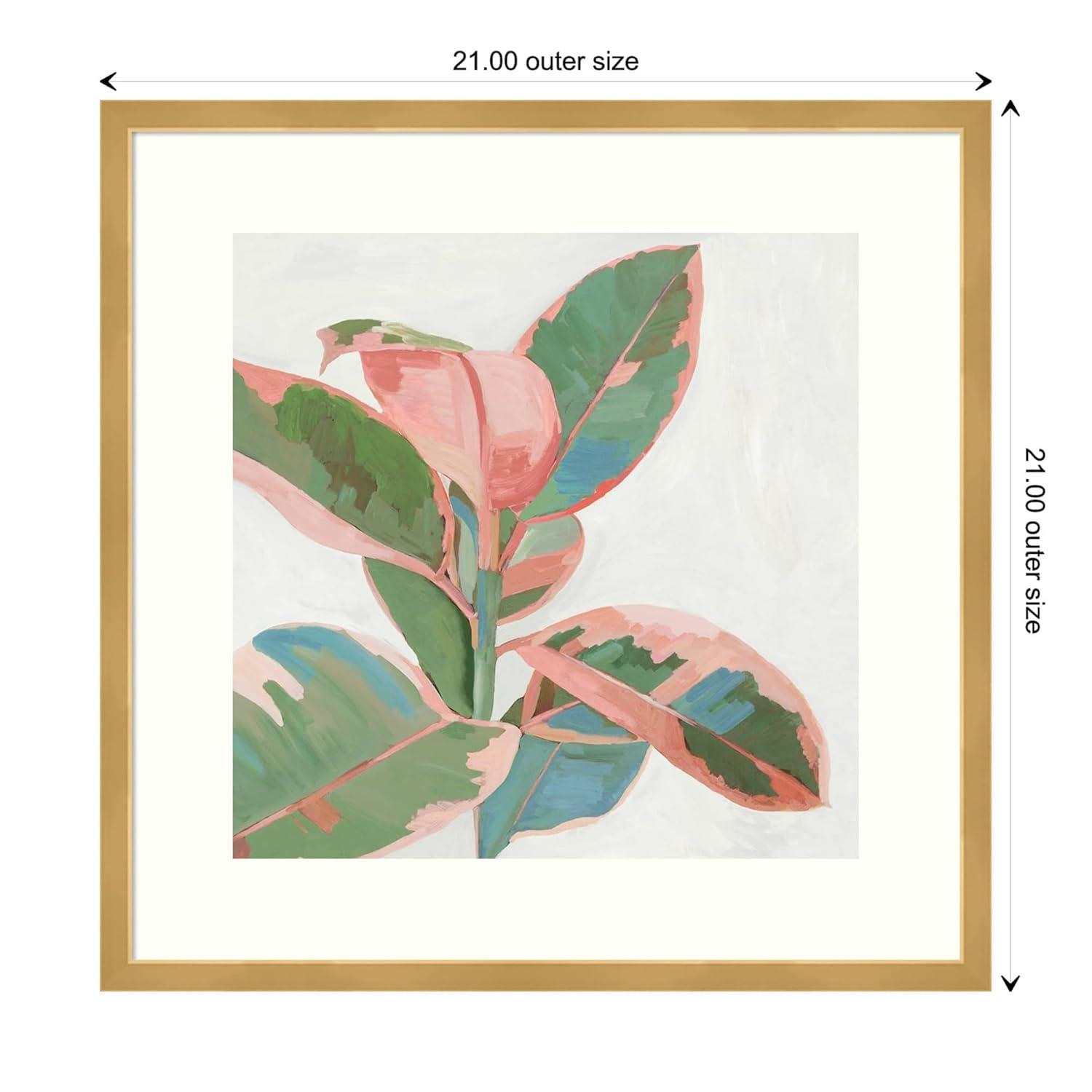 21" x 21" Ficus I by Asia Jensen Framed Wall Art Print Pink - Amanti Art: Modern Hardwood Frame, Botanical Lithograph