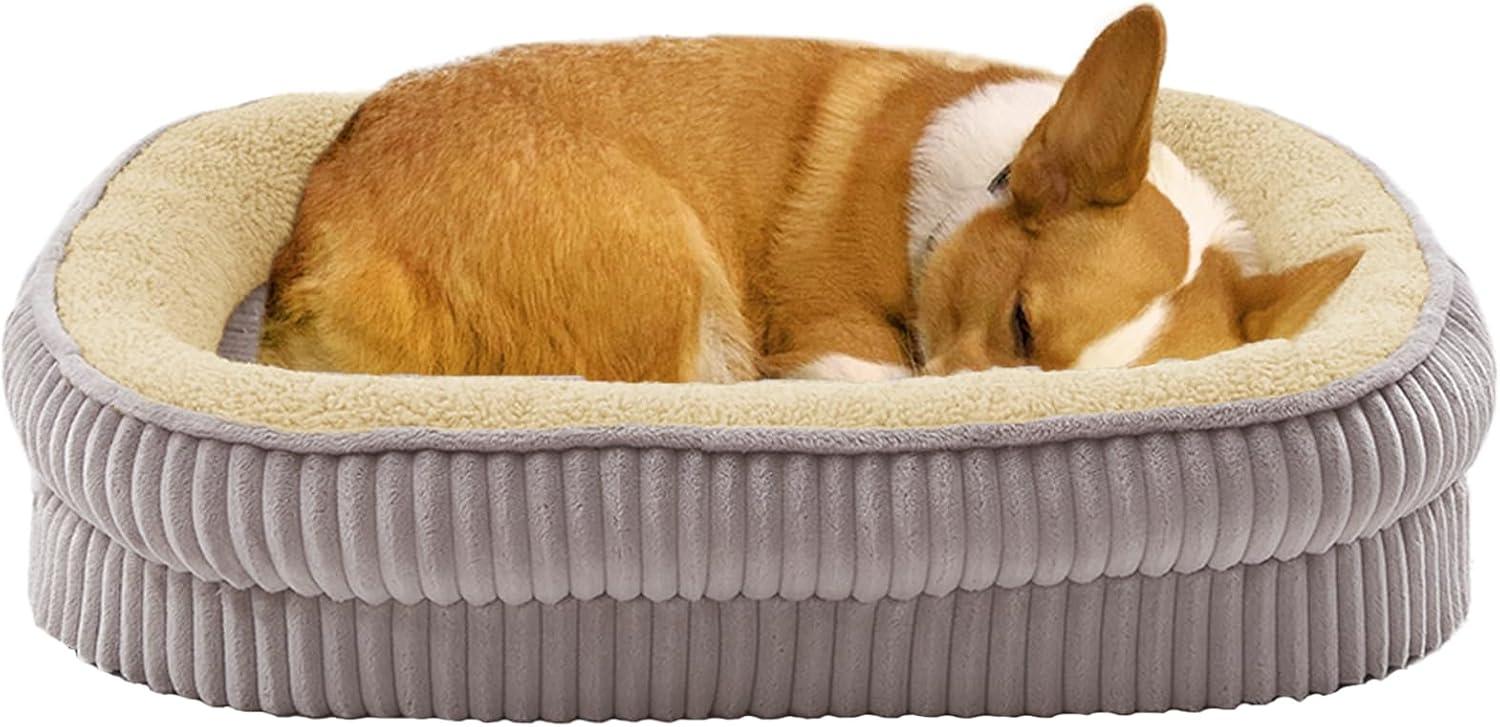 Dog Bed for Puppy, Oval Cat Beds, Pet Couch Bed with Four Sided Bolster