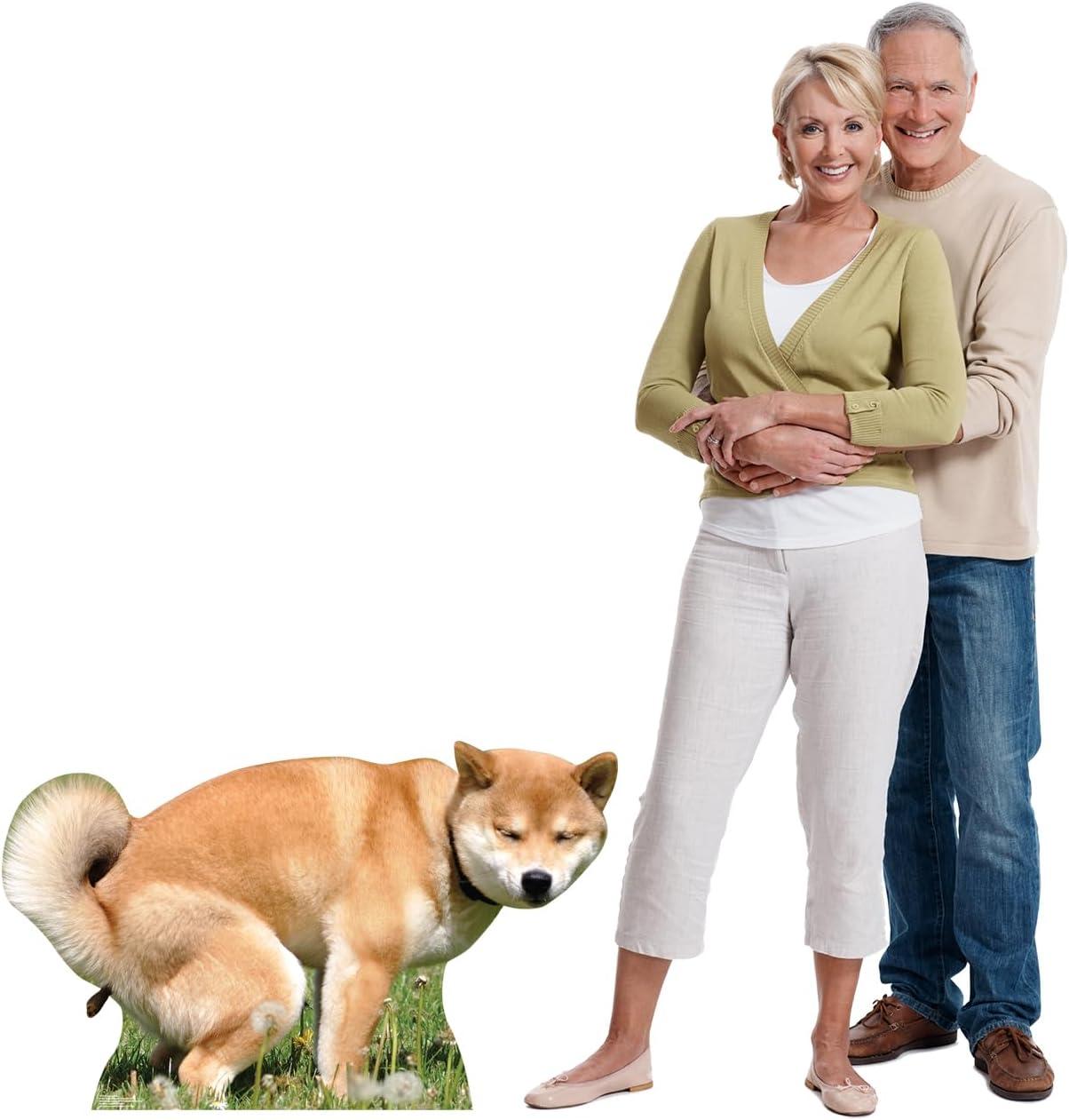 Life-Size Pooping Dog Cardboard Cutout Standee