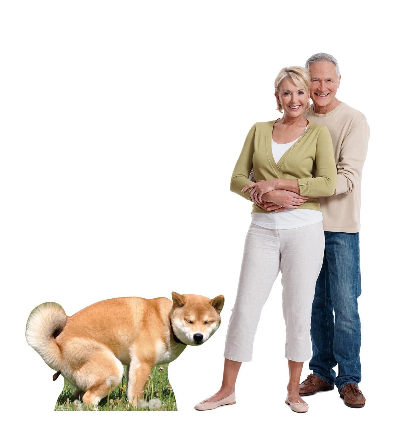 28 x 48 in. Pooping Dog Life-Size Cardboard Cutout