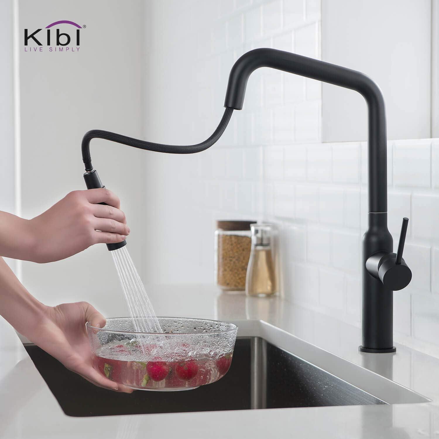 Macon Pull Down Single Handle Kitchen Faucet with Accessories