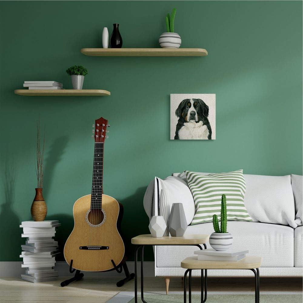 Stupell Industries " Bernese Mountain Dog Portrait " by Grace Popp