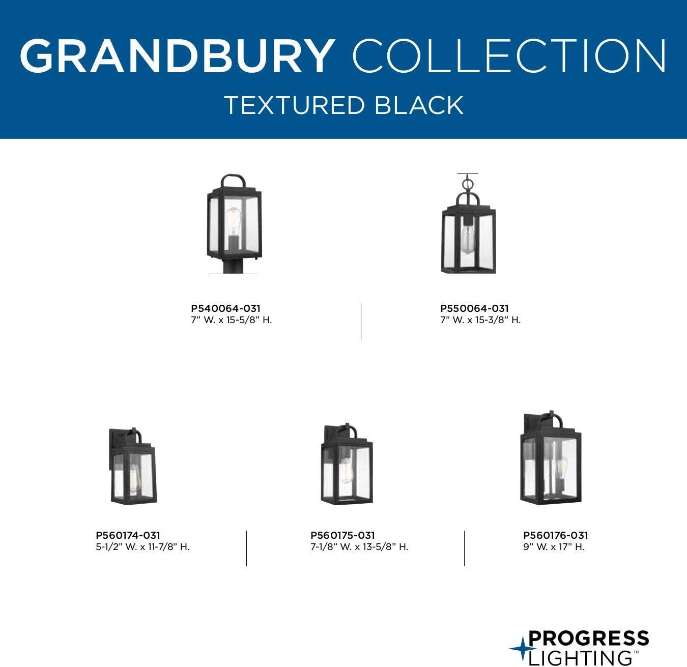 Coastal-Inspired Black Bronze Outdoor Lantern with Clear Glass