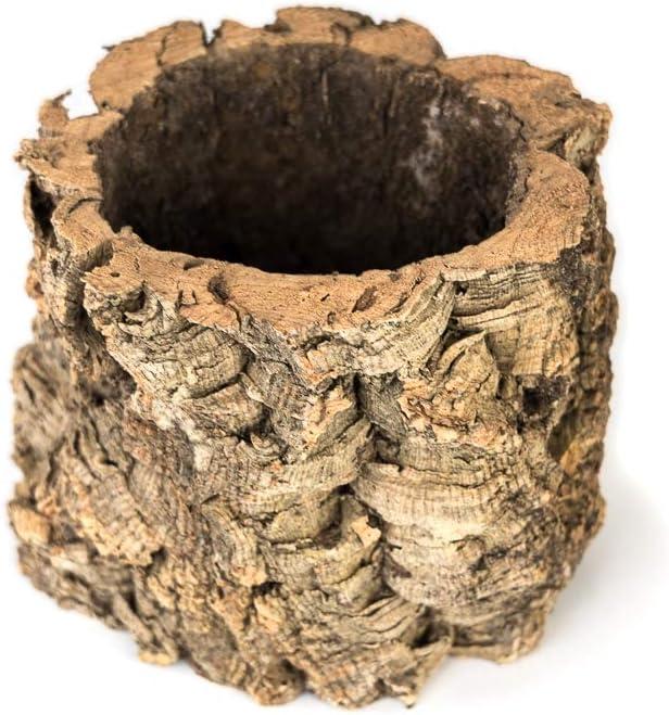 Josh's Frogs Virgin Cork Planter (6 inch tall)