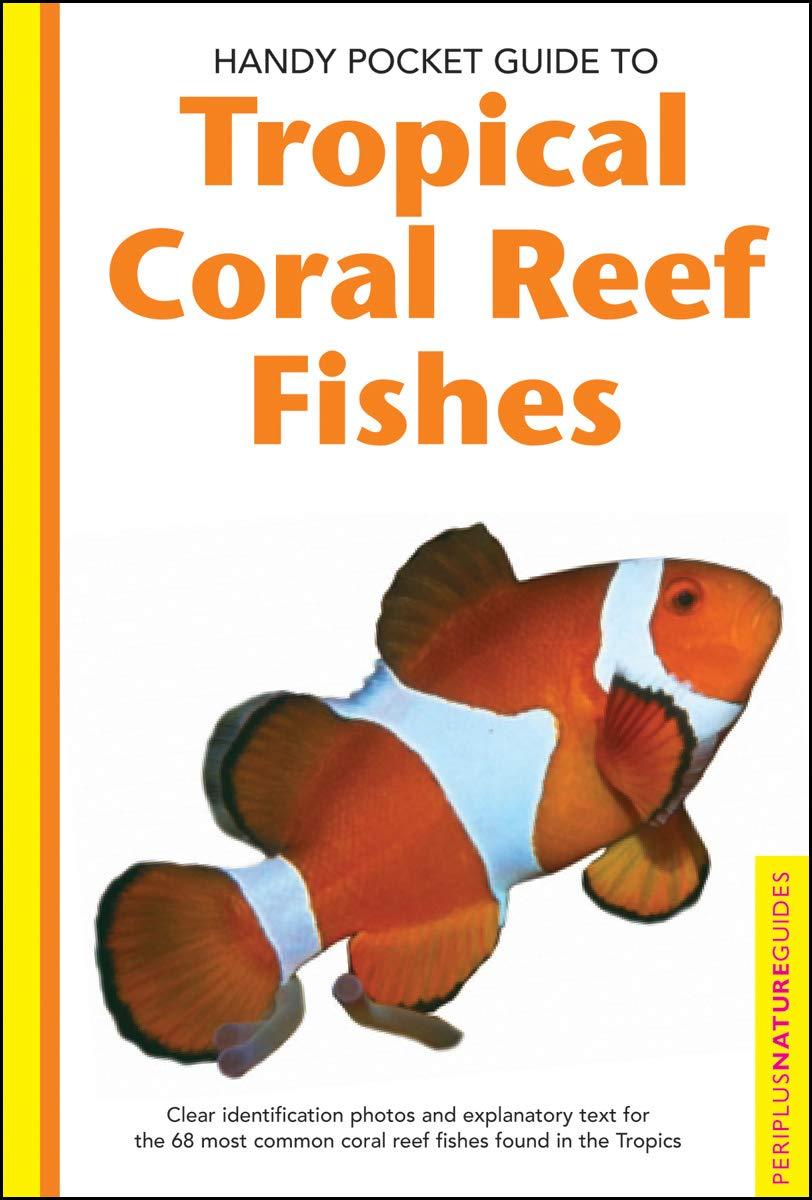 Tropical Coral Reef Fishes - (Handy Pocket Guides) by Allen (Paperback)