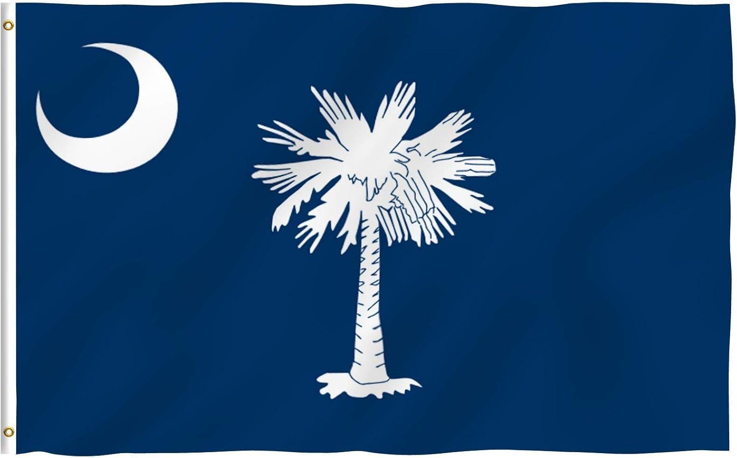 South Carolina 3x5 Foot Blue and White Polyester Flag