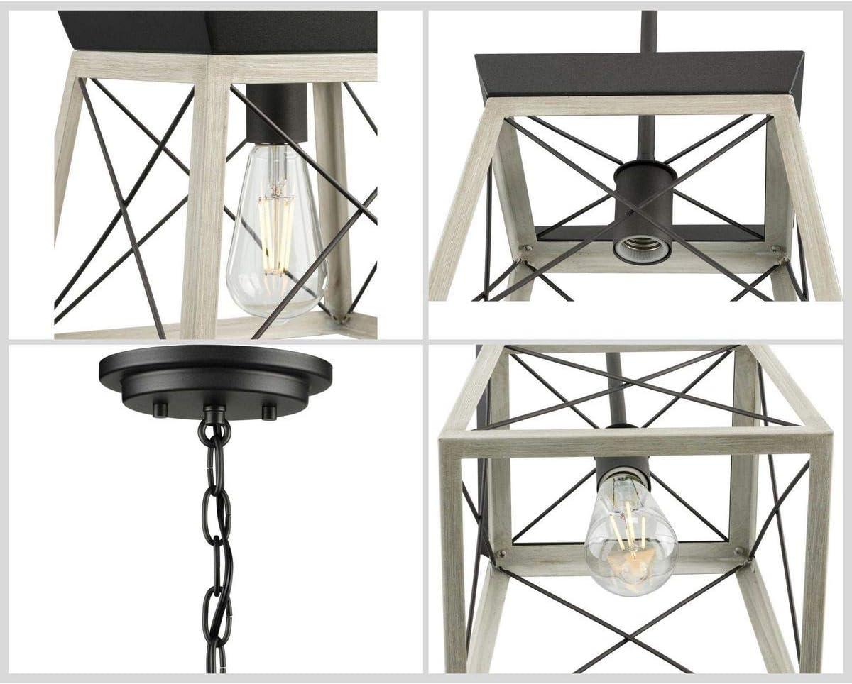 Progress Lighting Briarwood 1-Light Mini-Pendant, Steel, Graphite Finish, Faux-Painted Wood Enclosure