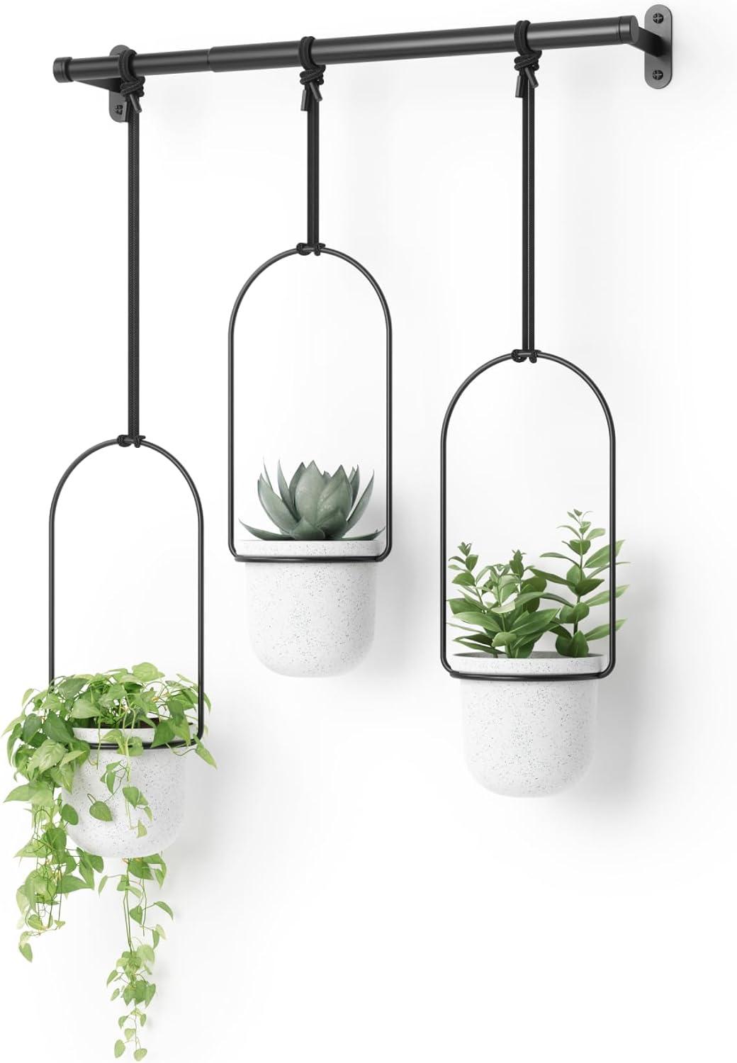 Tri-Flora Hanging Planter