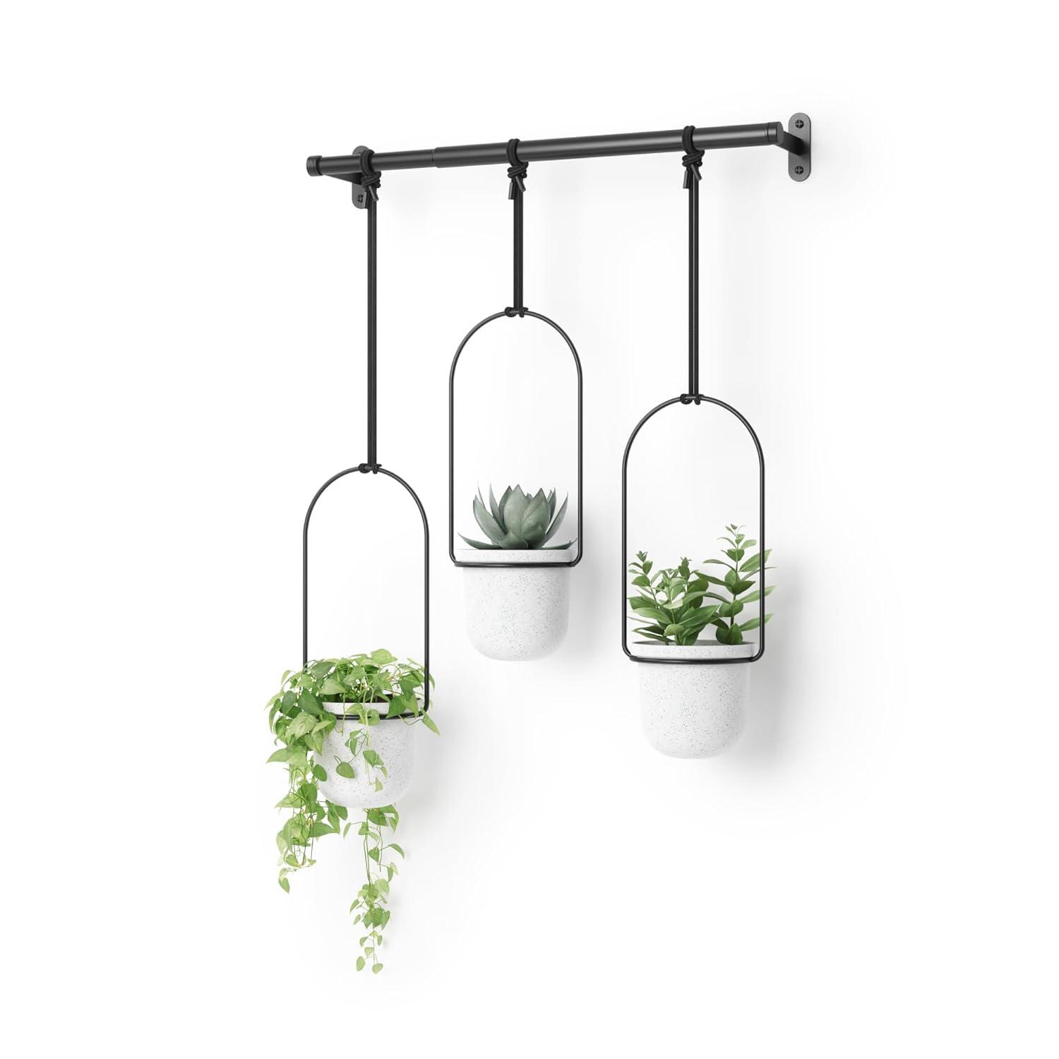 Tri-Flora Hanging Planter