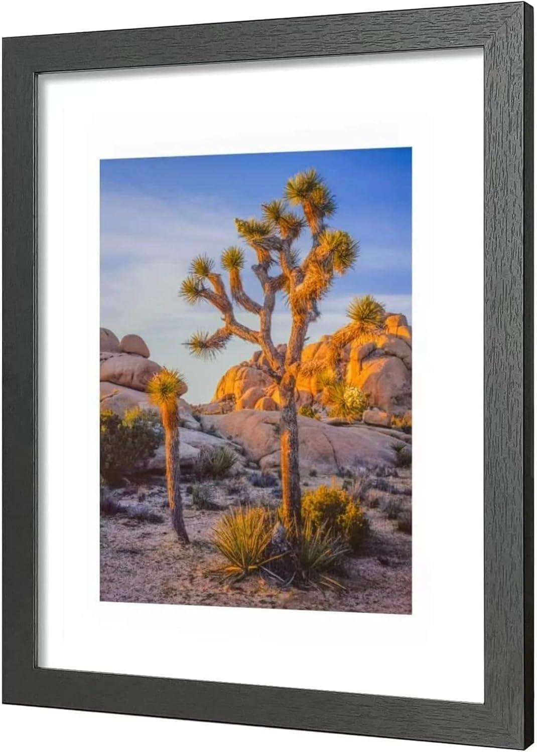 A PLUS MAX 20x24 Picture Frame with mat for 16x20 Picture with Polished Plexiglass Horizontal and Vertical Formats with Included Hanging Hardware-Black