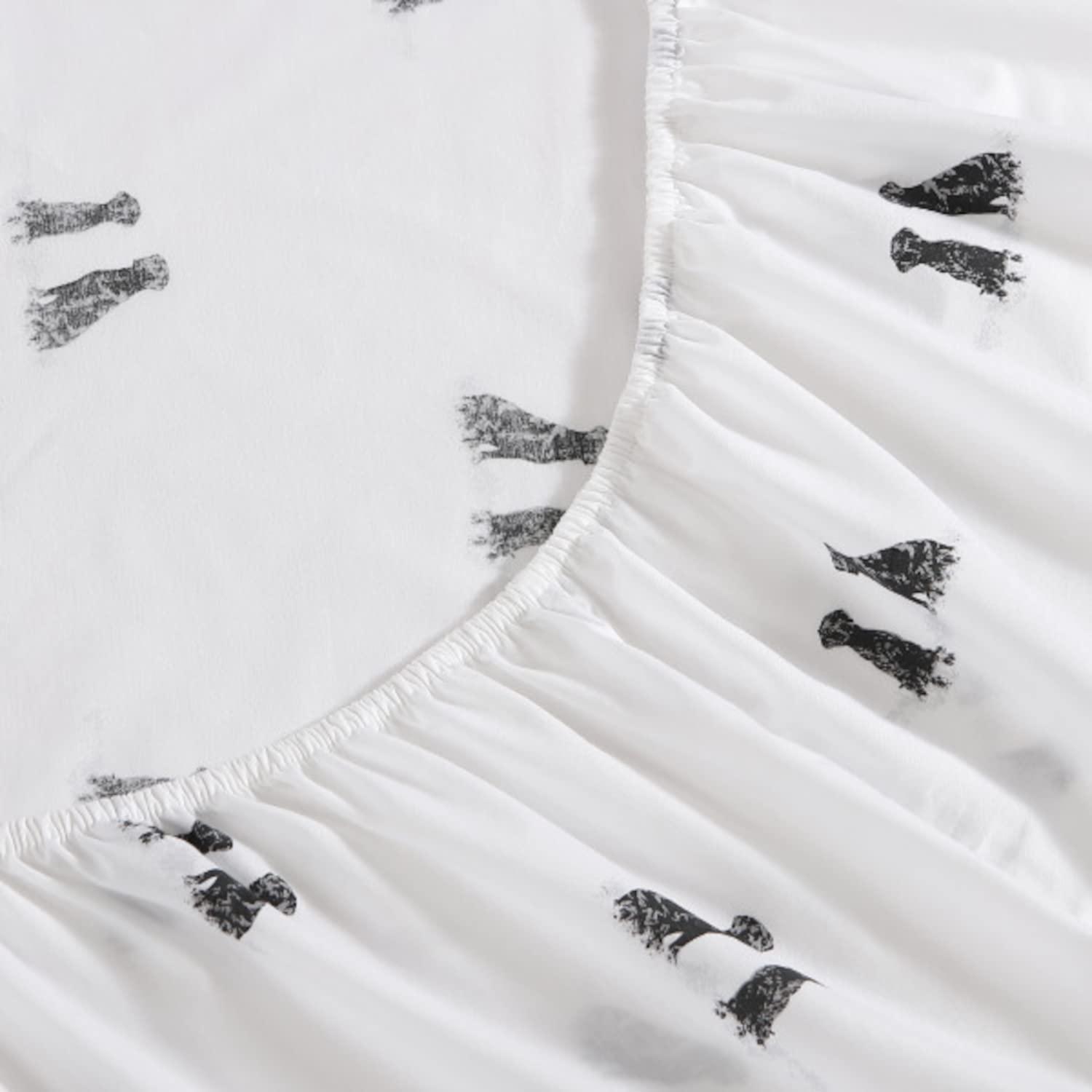 Eddie Bauer Eddie Bauer Printed Cotton Percale Sheet Sets