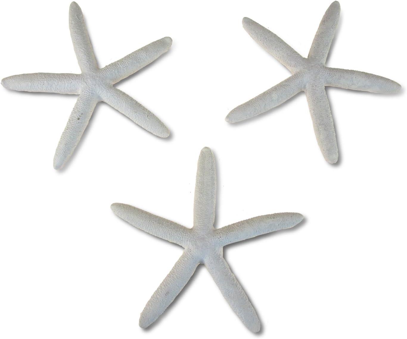 Puzzled White Starfish Tabletop Figurine with Rope, Intricate Meticulous Detail Resin Art Handcrafted Hand-painted Decoration Figure Nautical Ocean Sea Life Theme Home Accent Decor (3 Pc Set)