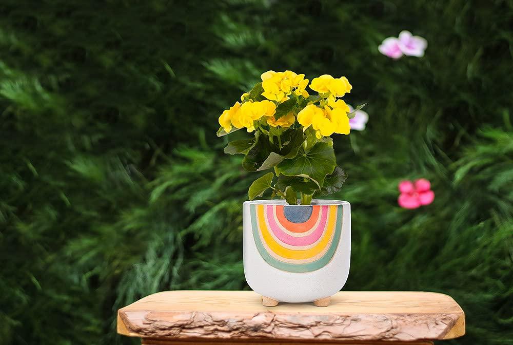 Abbott Collection Small Rainbow Planter with Legs, 4" H