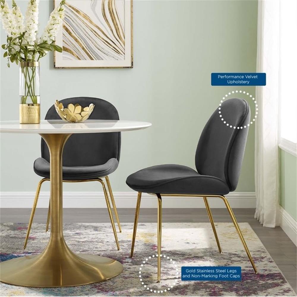 Scoop Gold Stainless Steel Leg Performance Velvet Dining ChairBlack